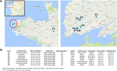 Combined Metabarcoding and Co-occurrence Network Analysis to Profile the Bacterial, Fungal and Fusarium Communities and Their Interactions in Maize Stalks